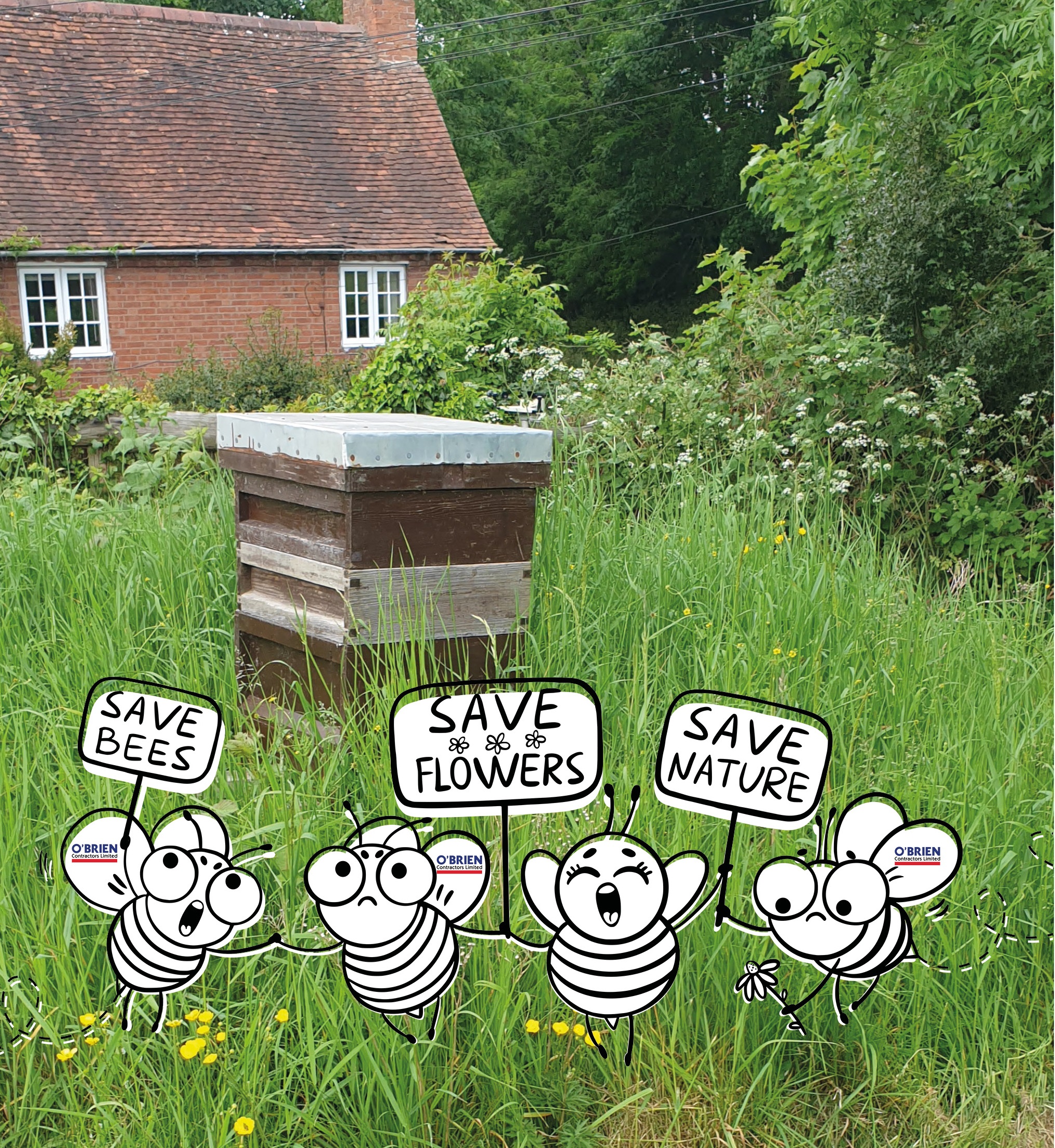 Bee Amazing and Help Build Back Better for Bees on World Bee Day